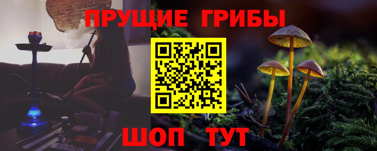 Галлюциногенные грибы Psilocybe  Вход с VPN  Воткинск 